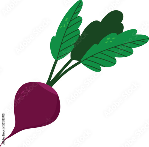 purple beetroot with green tops