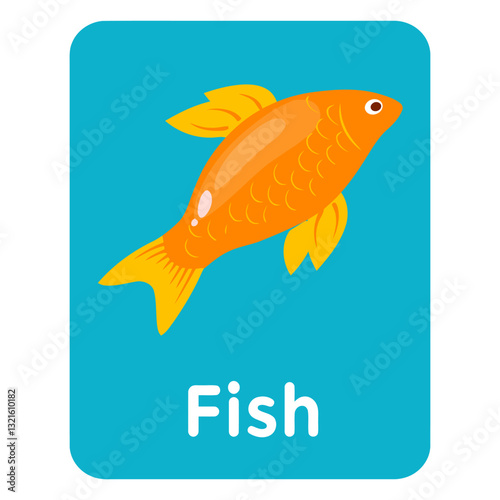 fish vocabulary flashcard