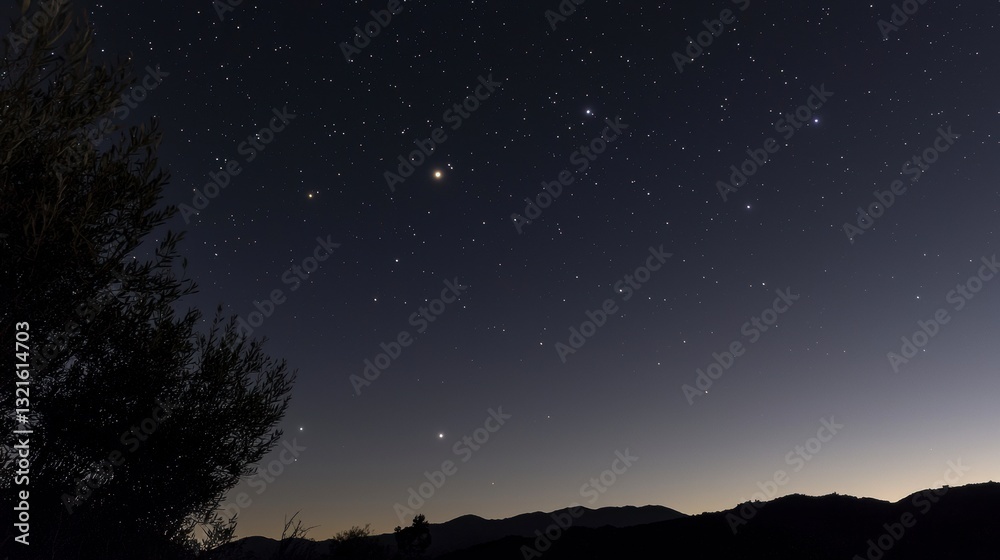 Fototapeta premium Celestial Night Watch