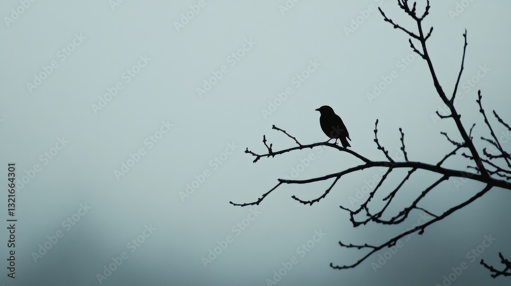 Silhouette of a Bird Standing on a Bare Branch Against a Misty Background in Early Morning Light Silhouette of a Bird Standing on a Bare Branch Against a Misty Background in Early Morning Light