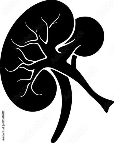 Detailed monochrome black and white anatomical kidney illustration for medical scientific educational and healthcare purposes with realistic style and precise structure