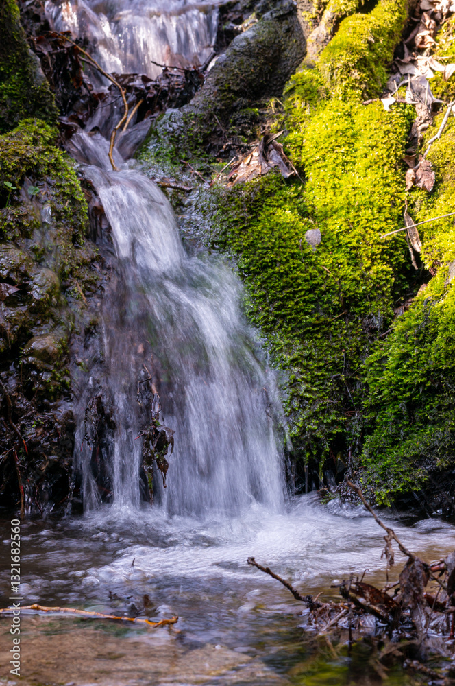 Fototapeta premium small waterfall in the forest with green moss in spring spiritual relaxation vertical