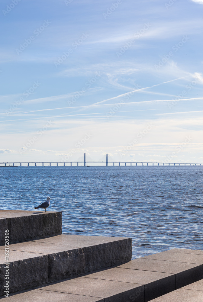 Fototapeta premium Bird resting by Öresund in Skåne landscape