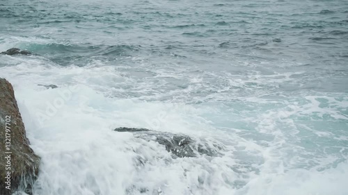 The North Sea. Sakhalin. Beach and rocky cliff with birds