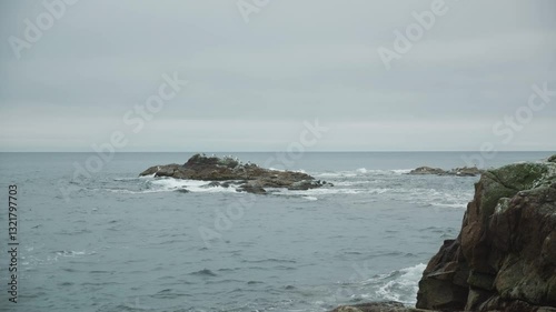 The North Sea. Sakhalin. Beach and rocky cliff with birds