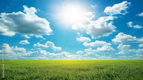 Grassland under blue sky with white clouds