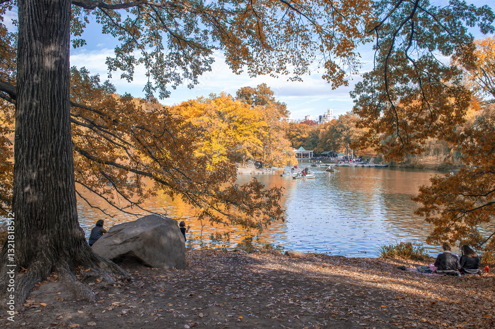 Central Park's Stunning Fall Foliage, A Scenic View of Autumn Colors