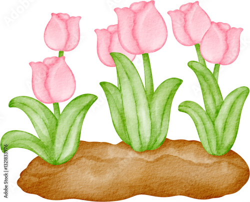 Fototapeta Naklejka Na Ścianę i Meble -  watercolor flower