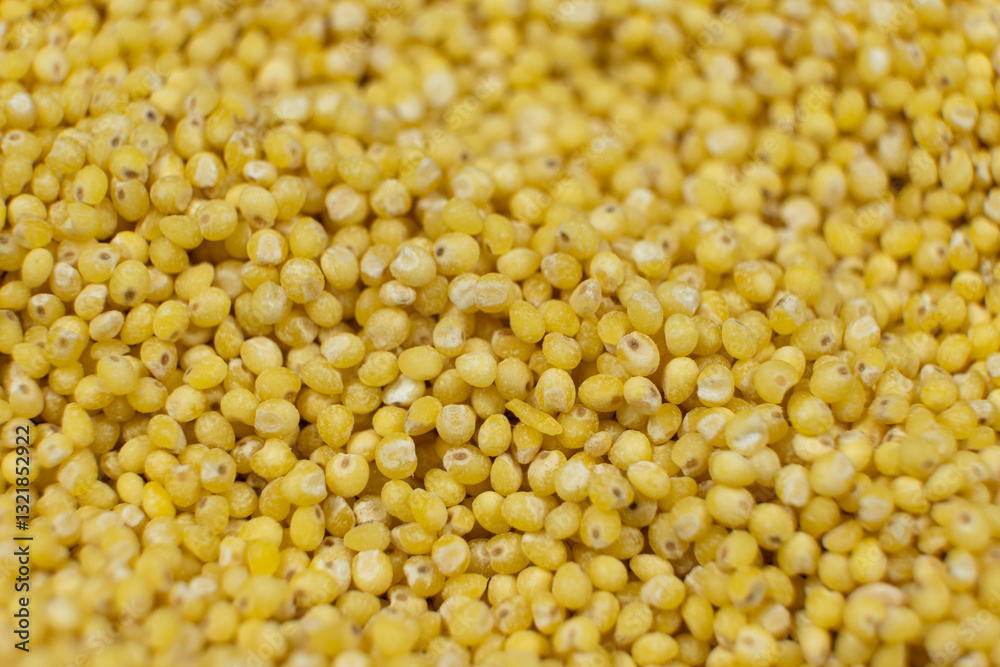 Uncooked organic raw millet grains close-up background Uncooked organic raw millet grains close-up background