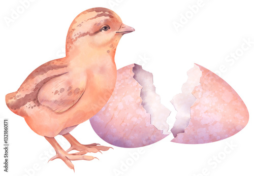 Quail chick. “Lilac Spring” collection for creating floral and Easter designs
