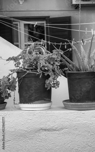 Obraz na płótnie Stunning contrast of white and pastel-colored architecture in Santorini, Greece, overlooking the Aegean Sea w salonie