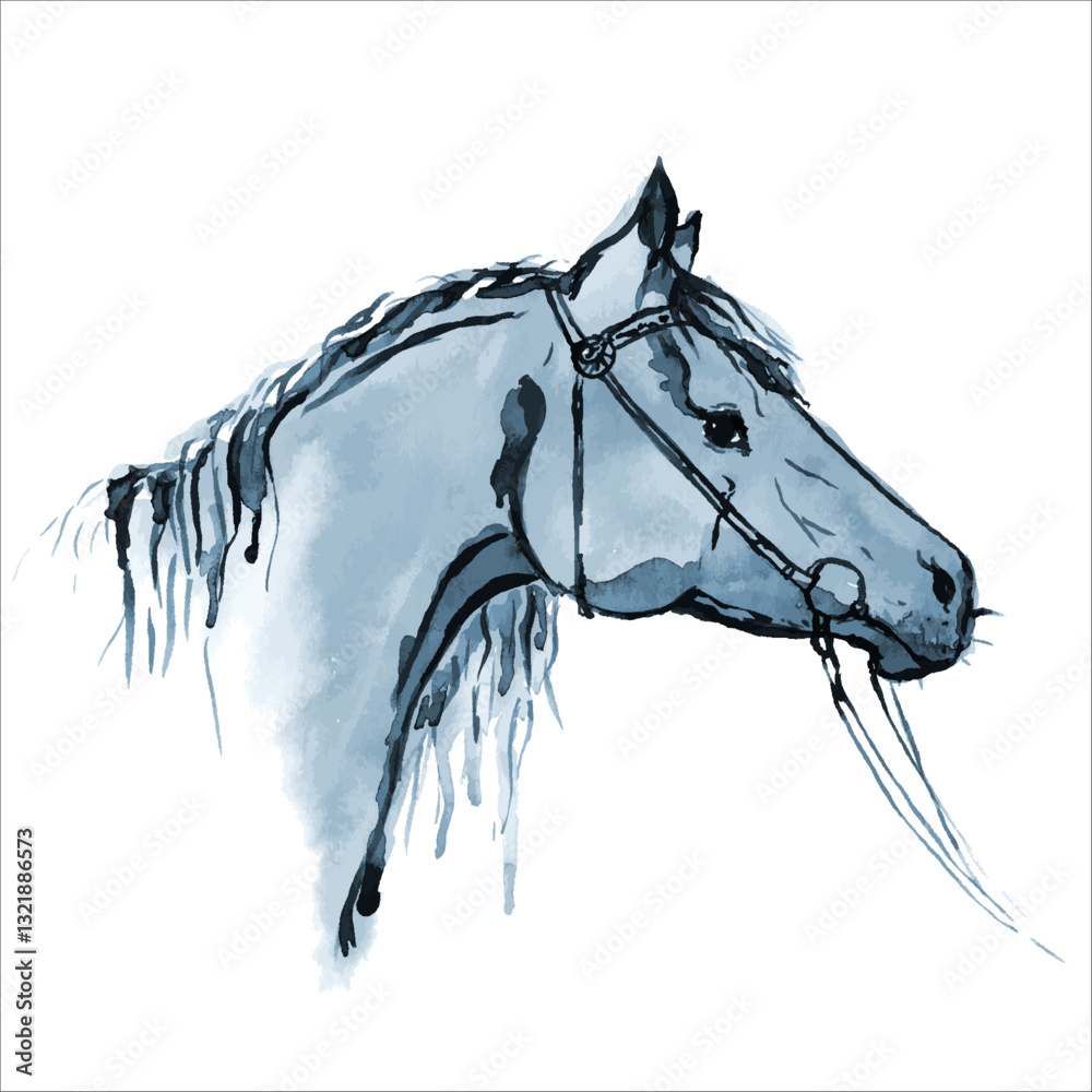 Watercolor hand drawing horse, pony or stallion head in bridle. Retro style. England equestrian sport. Hand painting vector graceful stylish art. Horse riding hobby. Grey color pets face