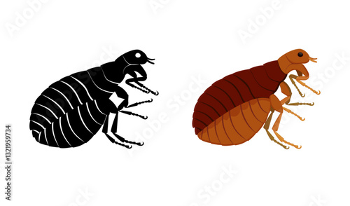 Flea insect in colored and black and white versions, side view