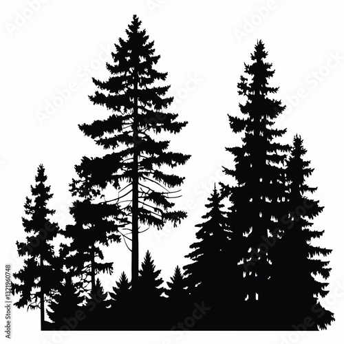 Fir trees silhouettes, Coniferous spruce horizontal background patterns, black evergreen woods vector illustration. Beautiful hand drawn panorama with treetops forest, forest silhouette