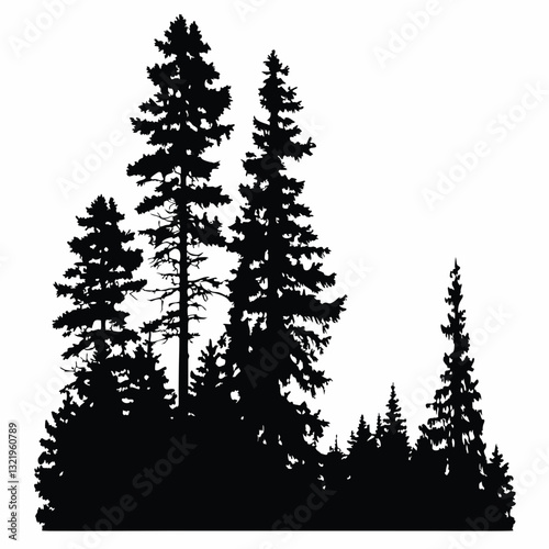 Fir trees silhouettes, Coniferous spruce horizontal background patterns, black evergreen woods vector illustration. Beautiful hand drawn panorama with treetops forest, forest silhouette