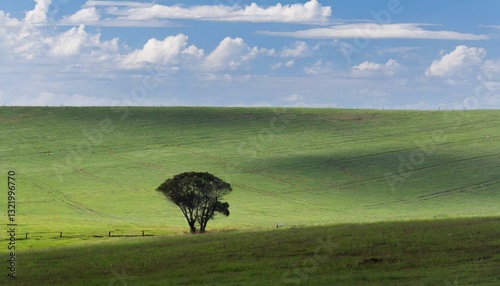 Gentle green hills stretch beneath a clear sky, offering a tranquil, minimalist landscape bathed in soft light