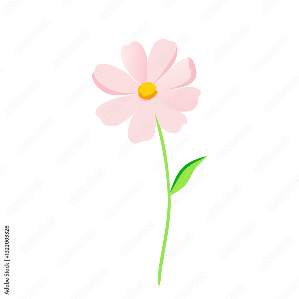 Light Pink Cosmos Vector Unique Floral Styles with Yellow Center on White Background Light Pink Cosmos Vector Unique Floral Styles with Yellow Center on White Background