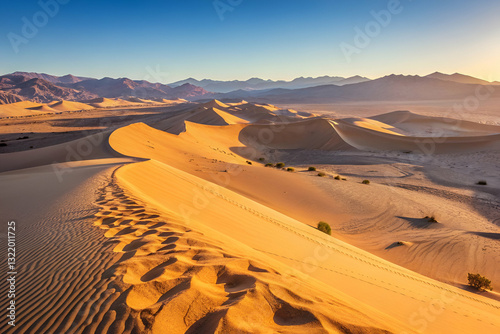 Expansive Desert Landscape at Sunrise with Rolling Sand Dunes and Mountain Backdrop in a Clear Blue Sky