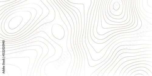 Abstract Topographic Pattern Banner Background, geographic line map with elevation assignments. Modern design background with wavy pattern. Paper texture Imitation of a geographical map shades.