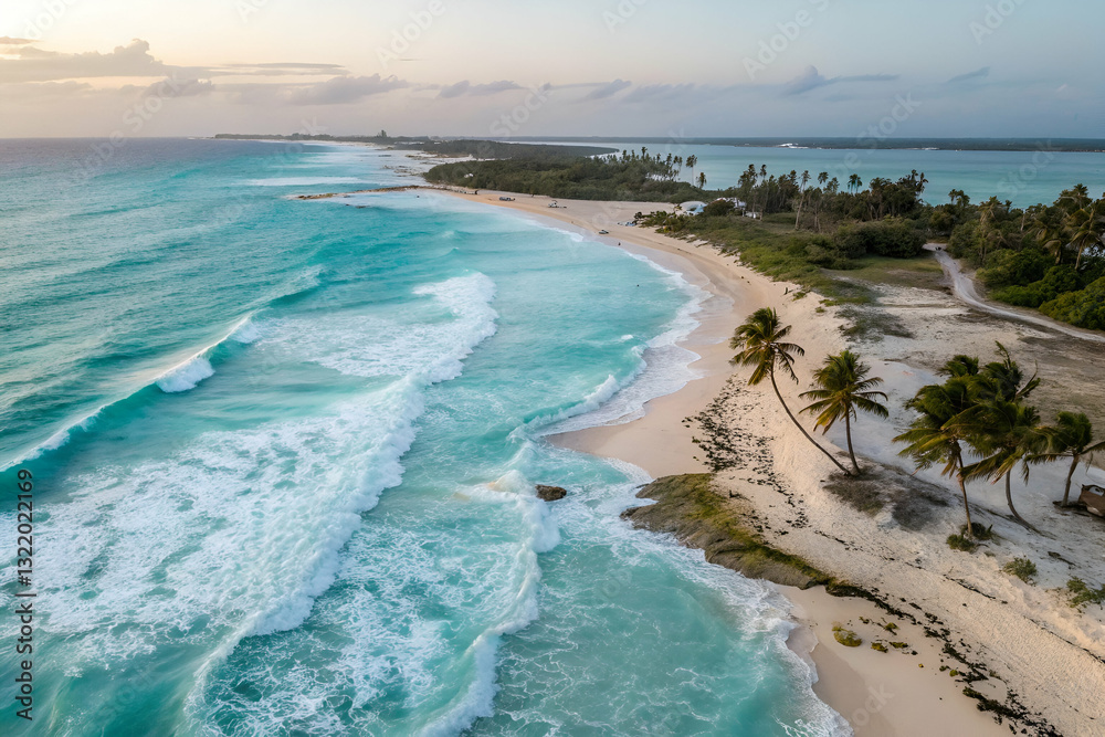 Serene Aerial View of Tropical Beach with Turquoise Waters and Gentle Waves at Sunset, Palms Adorning the Golden Sands of Paradise