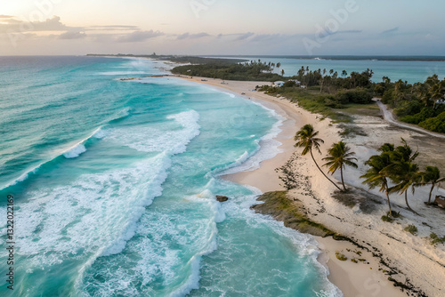 Serene Aerial View of Tropical Beach with Turquoise Waters and Gentle Waves at Sunset, Palms Adorning the Golden Sands of Paradise