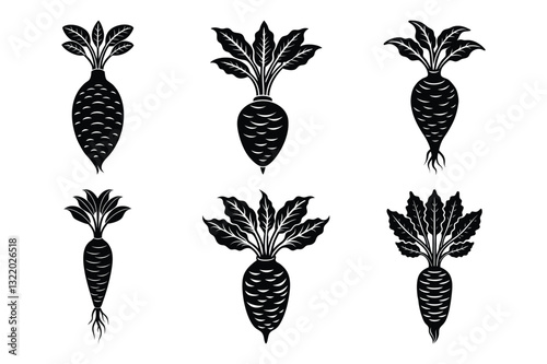 Daikon sets icon vector on White Background ,Vector Art Illustration on white background.