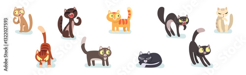 Funny Cat Tame Domestic Animal with Tail and Paw Vector Set