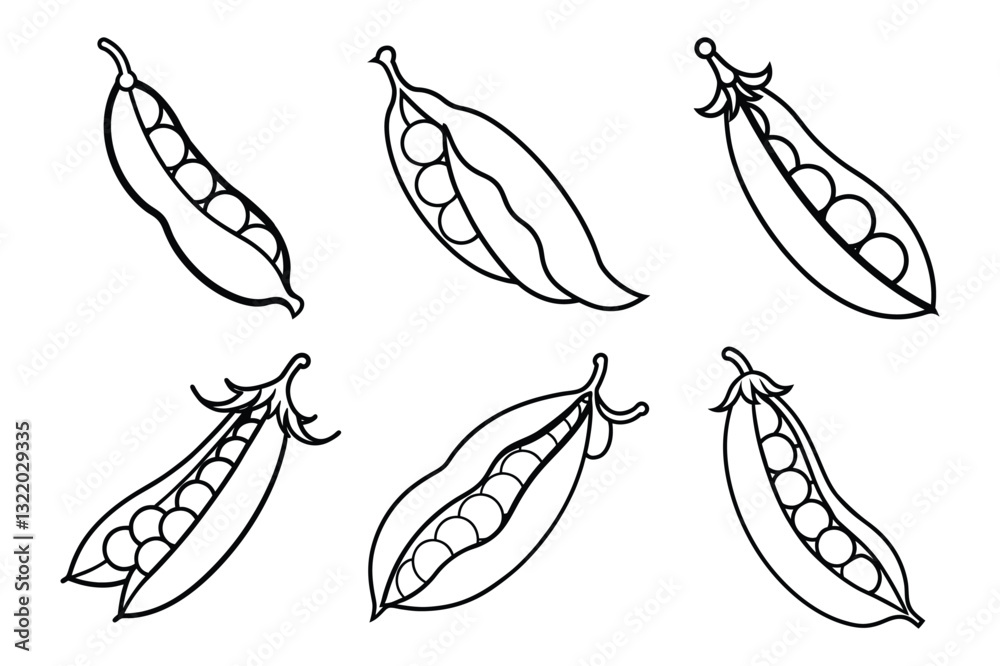 Fototapeta premium Pea pods sets icon vector on White Background ,Vector Art Illustration on white background.