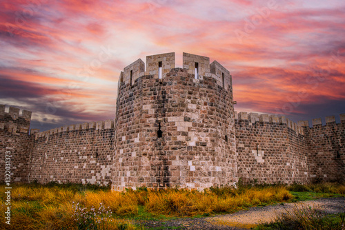 Obraz na płótnie The Payas Castle view in Hatay Province of Turkey w salonie