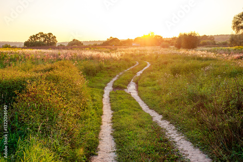 A dirt country road running through overgrown fields illuminated by the sun at sunset