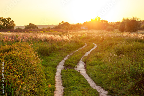 A dirt country road running through overgrown fields illuminated by the sun at sunset