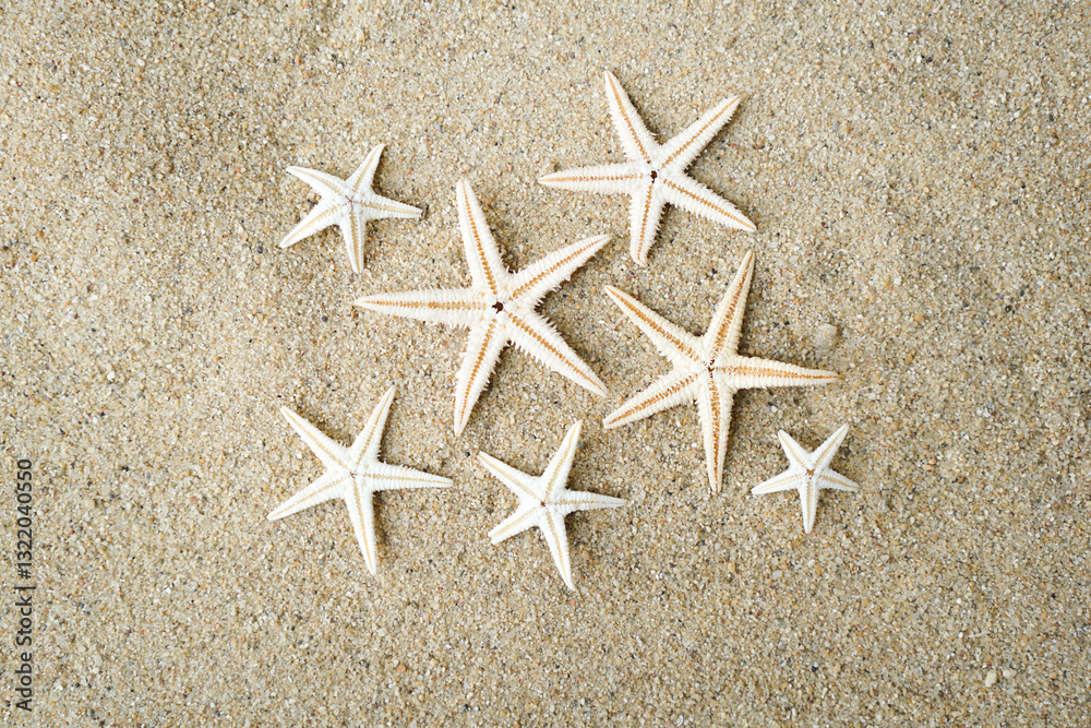 Group of Glittering Starfish on sandy beach in a beautiful sunny day. The starfishes are sunbathing on the beach sand. Group of Glittering Starfish on sandy beach in a beautiful sunny day. The starfishes are sunbathing on the beach sand.