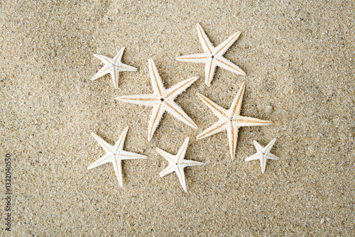 Group of Glittering Starfish on sandy beach in a beautiful sunny day. The starfishes are sunbathing on the beach sand.