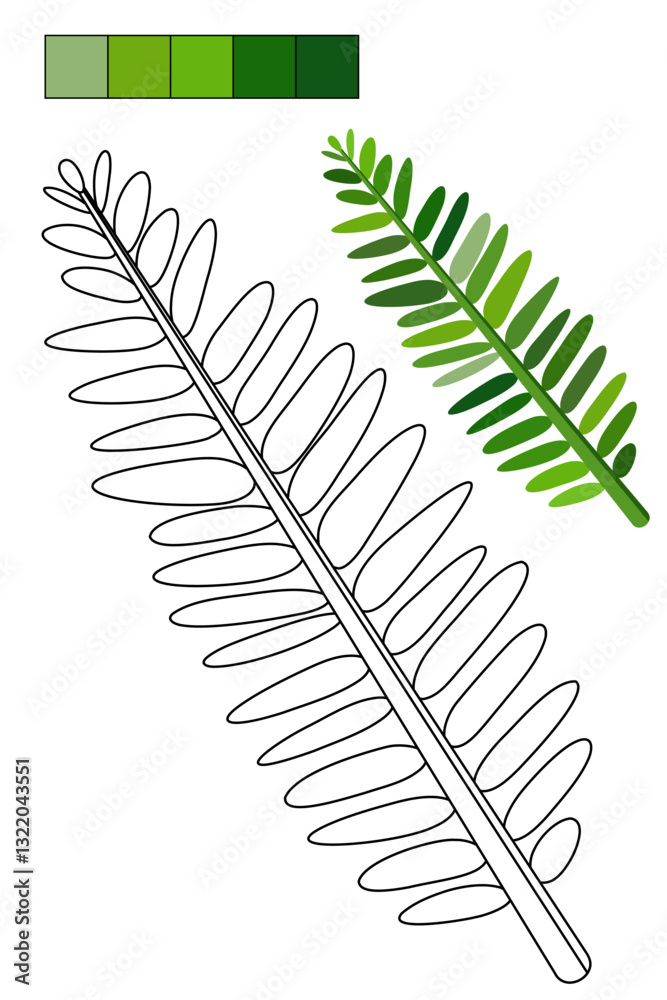 Fototapeta premium Coloring page whit tropical leaf for coloring book about exotic plants. Contour, colorful sample, color palette. For preschool and early elementary school children, to kid enjoy jungle vibes