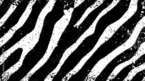 Texture with plain black and white zebra pattern, Black and white wavy stripes.  Abstract background. abstract graffiti shape in black and white, aligned with viewer’s perspective.