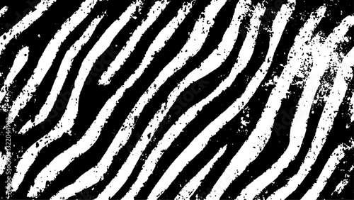 Texture with plain black and white zebra pattern, Black and white wavy stripes.  Abstract background. abstract graffiti shape in black and white, aligned with viewer’s perspective.