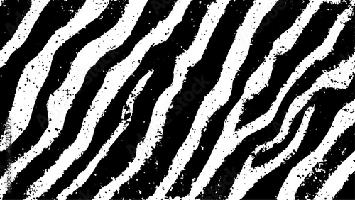 Texture with plain black and white zebra pattern, Black and white wavy stripes.  Abstract background. abstract graffiti shape in black and white, aligned with viewer’s perspective.
