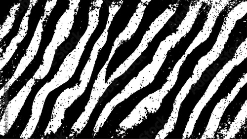 Texture with plain black and white zebra pattern, Black and white wavy stripes.  Abstract background. abstract graffiti shape in black and white, aligned with viewer’s perspective.