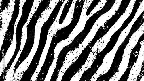 Texture with plain black and white zebra pattern, Black and white wavy stripes.  Abstract background. abstract graffiti shape in black and white, aligned with viewer’s perspective.