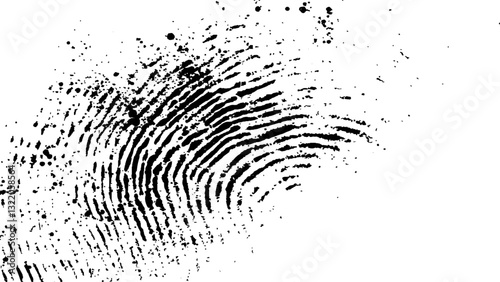 Black fingerprint on white Transparent background. Detailed fingerprint on grunge background symbolizing identity verification	