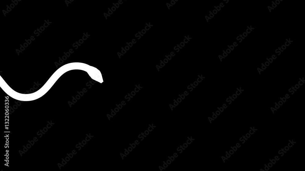 Smooth, flowing white snake-like shape moving on a black background. Perfect for abstract motion graphics, fluid design, and minimalist animation projects. Smooth, flowing white snake-like shape moving on a black background. Perfect for abstract motion graphics, fluid design, and minimalist animation projects.