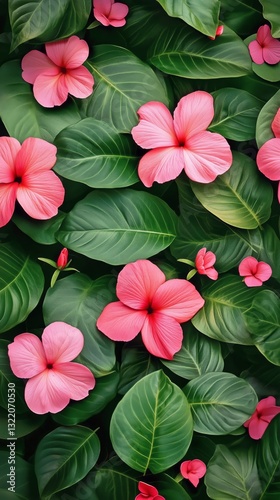 Bright Pink Hibiscus Flowers Blooming Among Lush Green Leaves in a Tropical G...