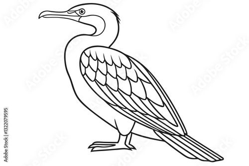 Cormorant Vector Graphics – Elegant and Detailed Artwork