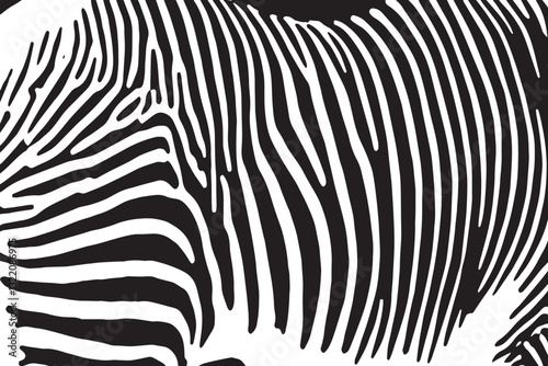 Zebra skin background vector. Animal fur, vector background for Fabric design, wrapping paper, textile, and wallpaper	