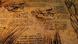 Leonardo da Vinci Anatomy Art Drawing