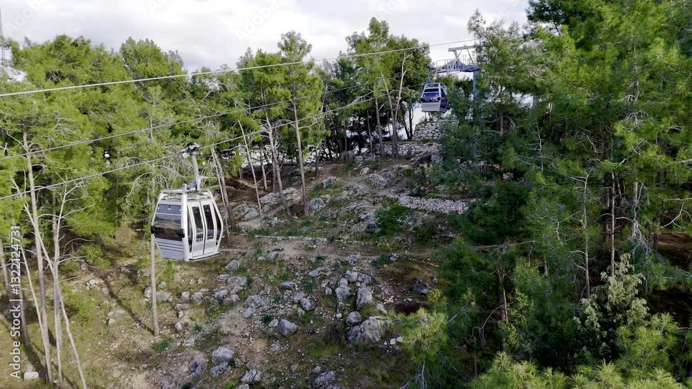 Cable car trees, Cable car ride. High quality photo Cable car trees, Cable car ride. High quality photo