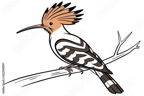 Stunning Hoopoe Bird Vector Art Design