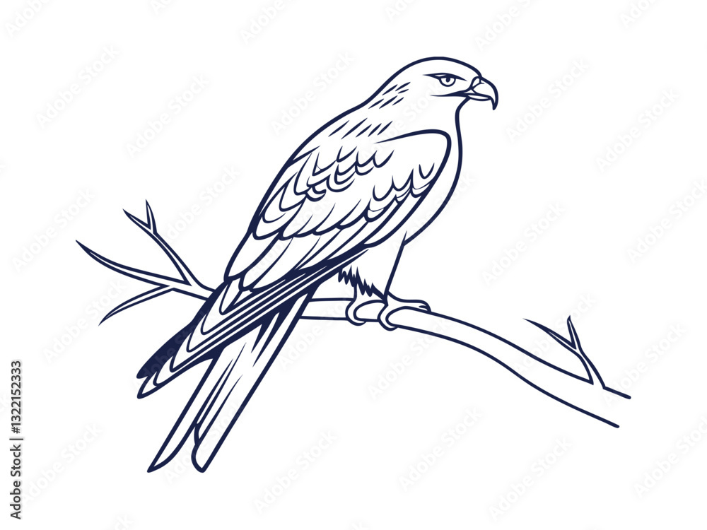 Fototapeta premium Kite Bird Vector Design for Nature Lovers