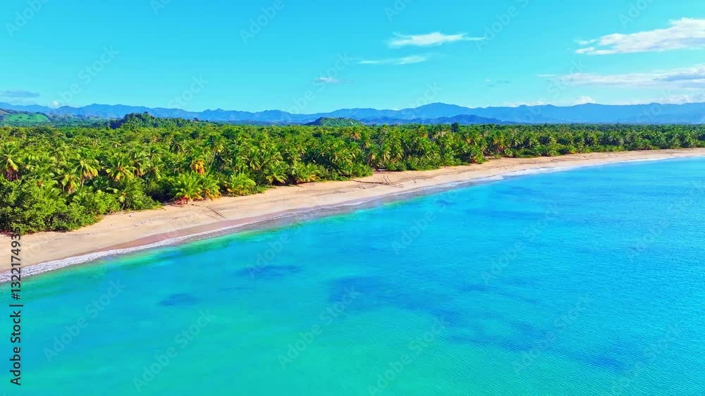 Coconut palms on sandy beach in coastal sea, Dominican Republic. Relaxed lifestyle on white sand background, summer travel concept. Beach and beautiful Caribbean Sea. Coconut palms on sandy beach in coastal sea, Dominican Republic. Relaxed lifestyle on white sand background, summer travel concept. Beach and beautiful Caribbean Sea.