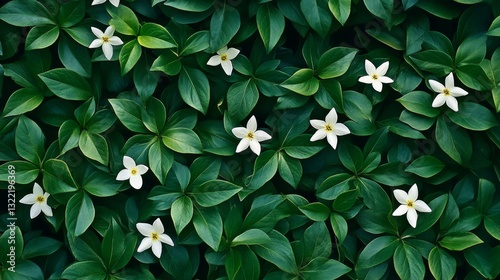 White flowers scattered amidst vibrant green leaves create a stunning, serene pattern of nature’s elegance and tranquility.
